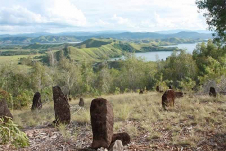 Mengenal Megalitik Tutari Situs Peradaban Papua