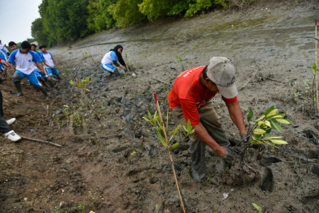 [SIARAN PERS] Merawat Tradisi Menanam Mangrove di Acara Internasional