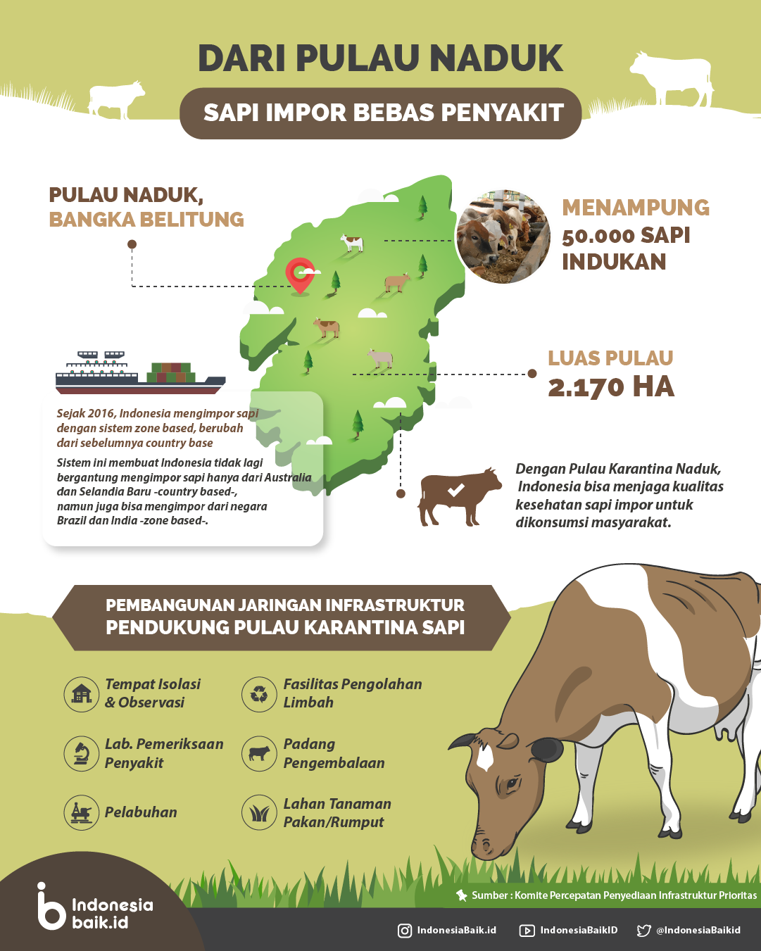 Pulau Karantina Sapi