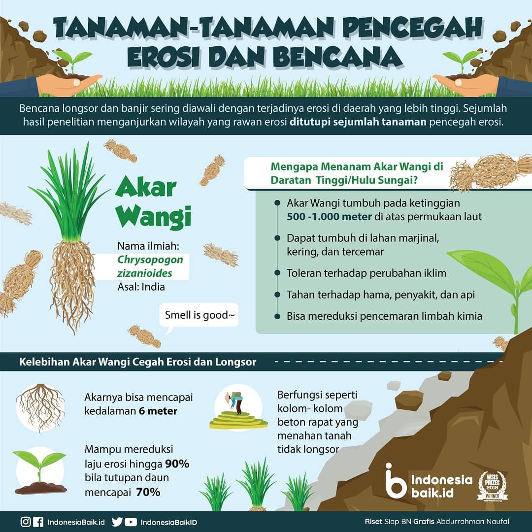 Tanaman-Tanaman Pencegah Erosi dan...