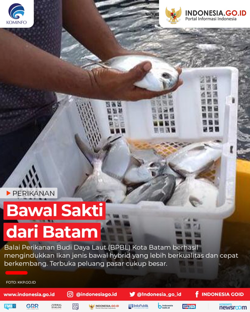 Bawal Sakti dari Batam