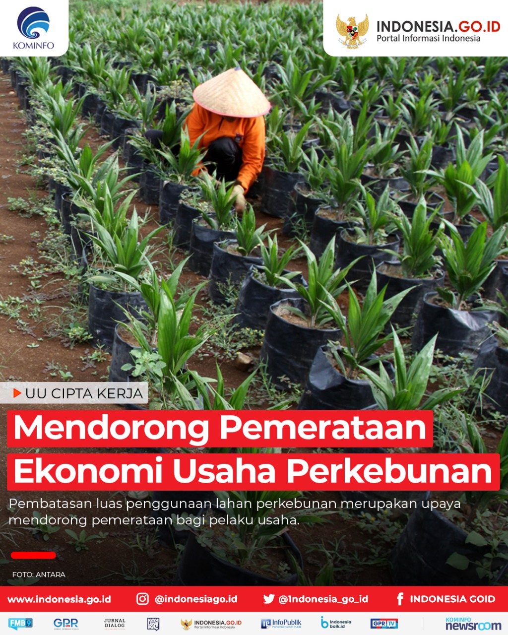 Mendorong Pemerataan Ekonomi Usaha...
