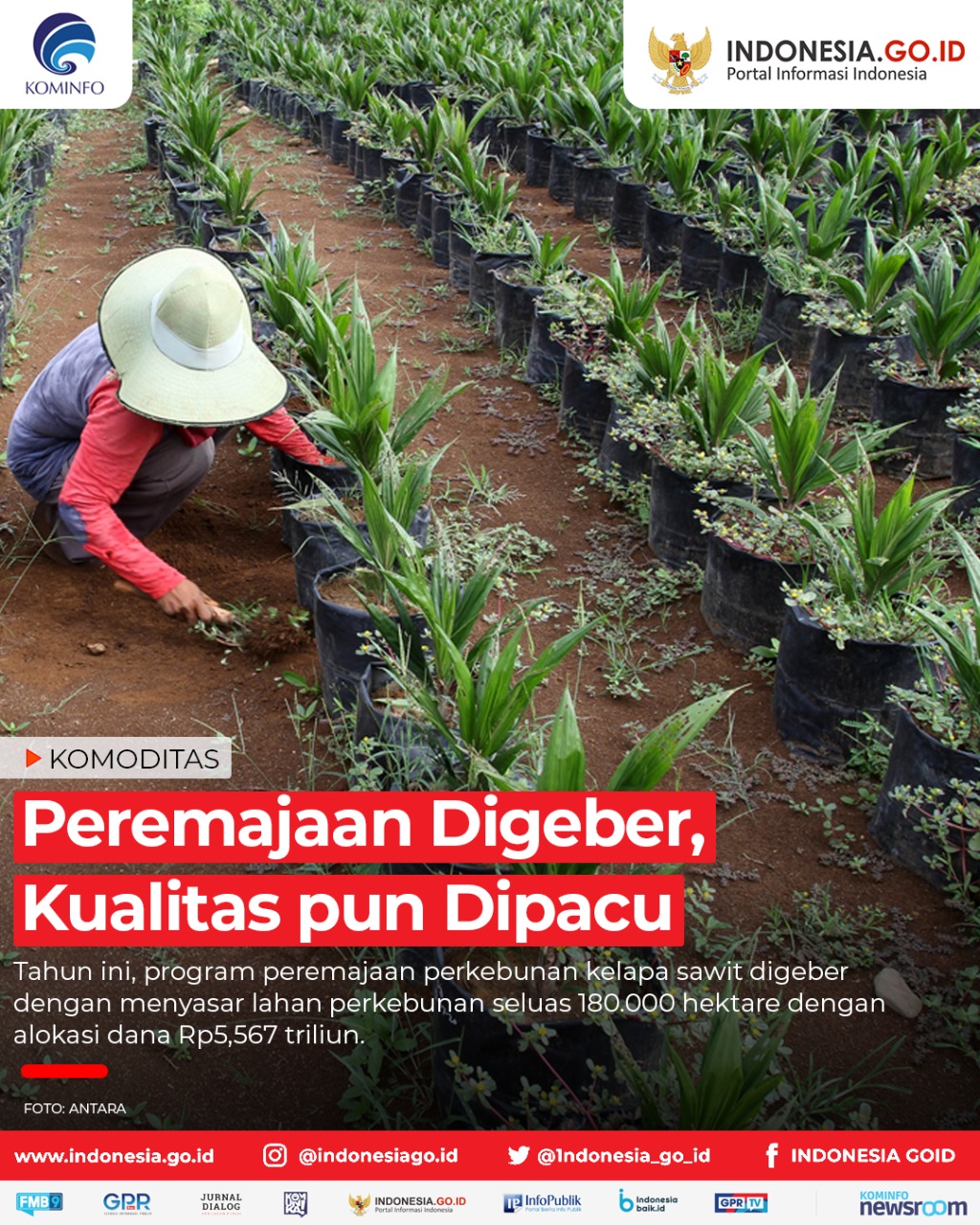 Peremajaan Digeber, Kualitas pun Dipacu