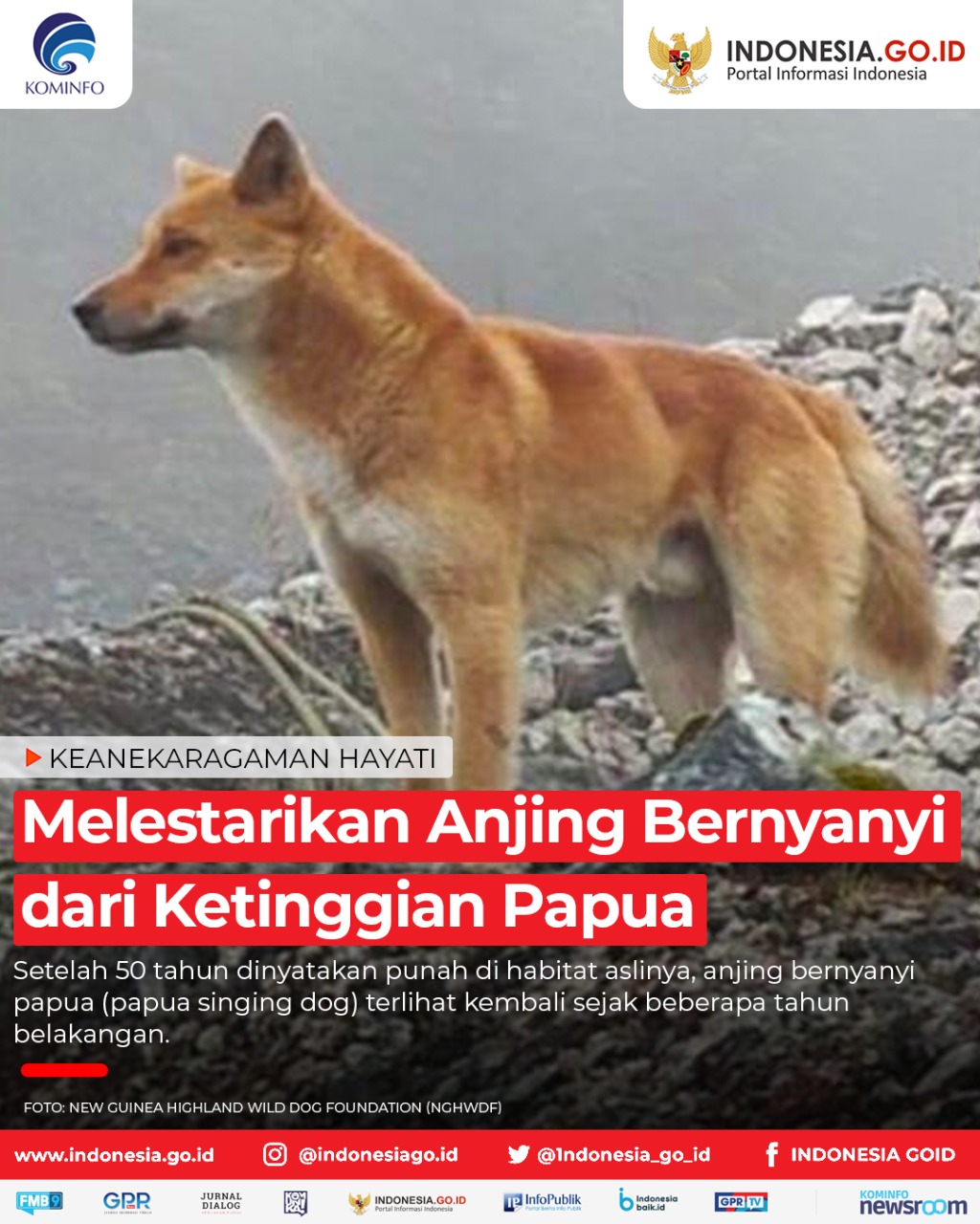 Melestarikan Anjing Bernyanyi dari...