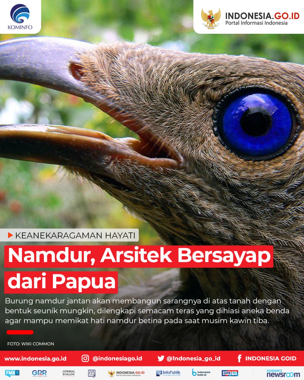 Namdur, Arsitek Bersayap dari Papua