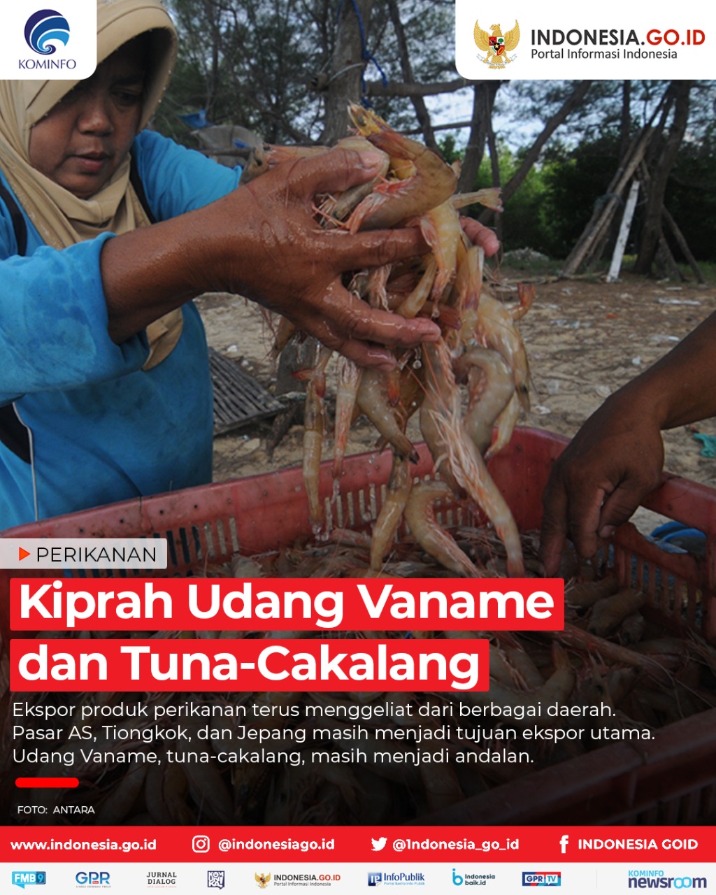 Kiprah Udang Vaname dan Tuna-Cakalang