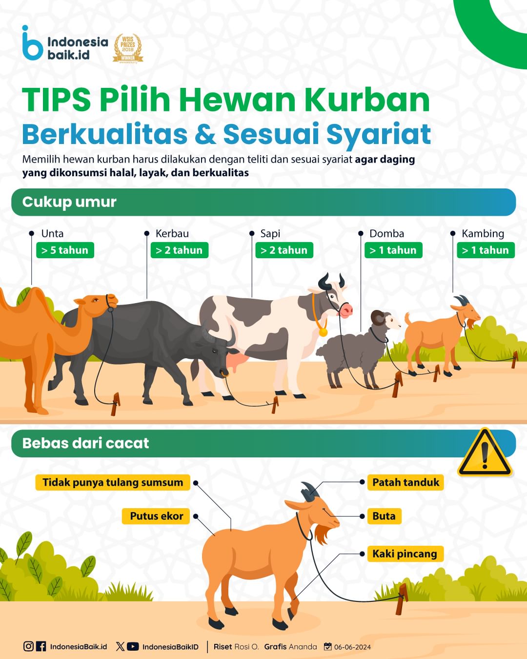 Tips Pilih Hewan Kurban Berkualitas &...