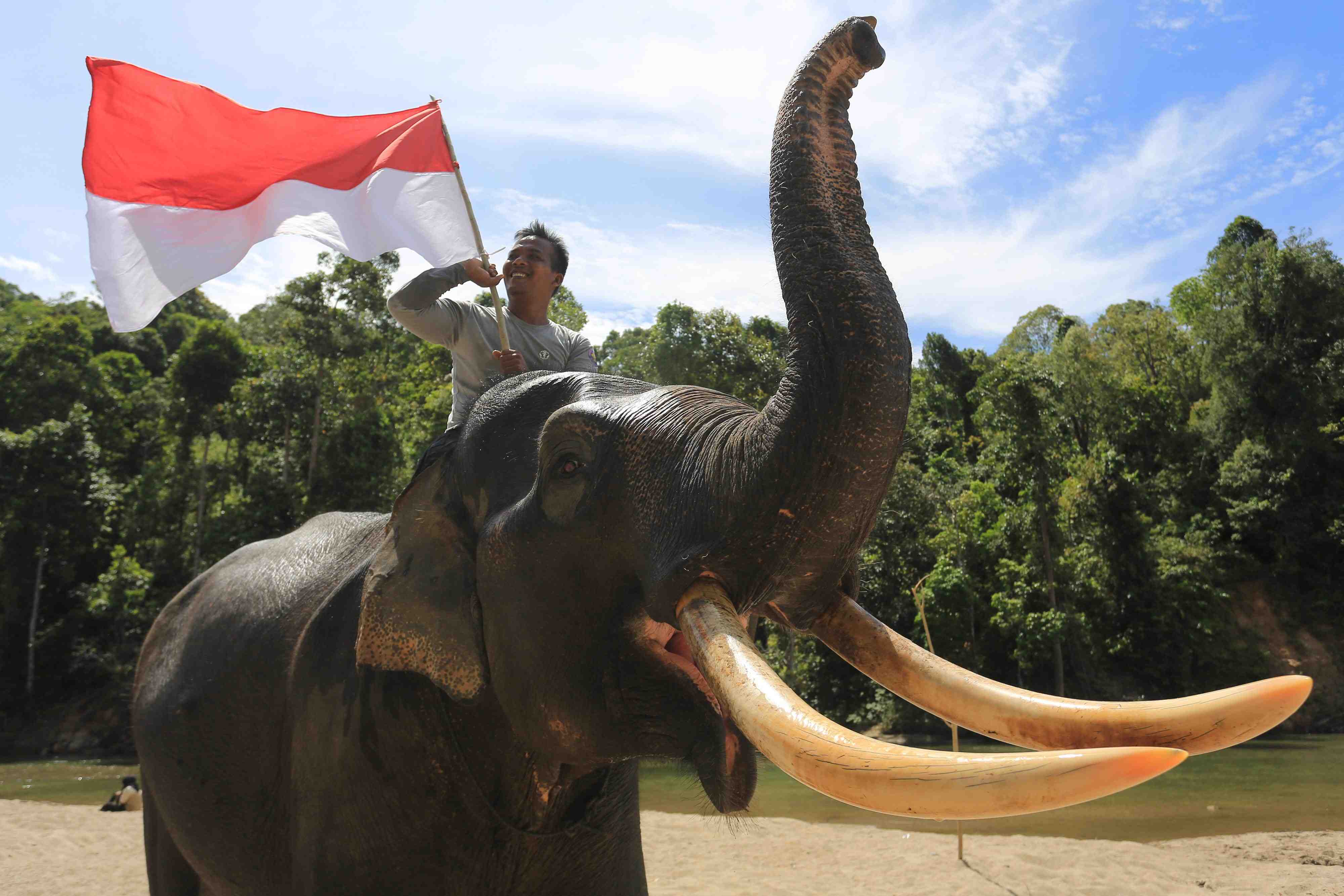 Pengibaran Merah Putih di Tanah Konservasi