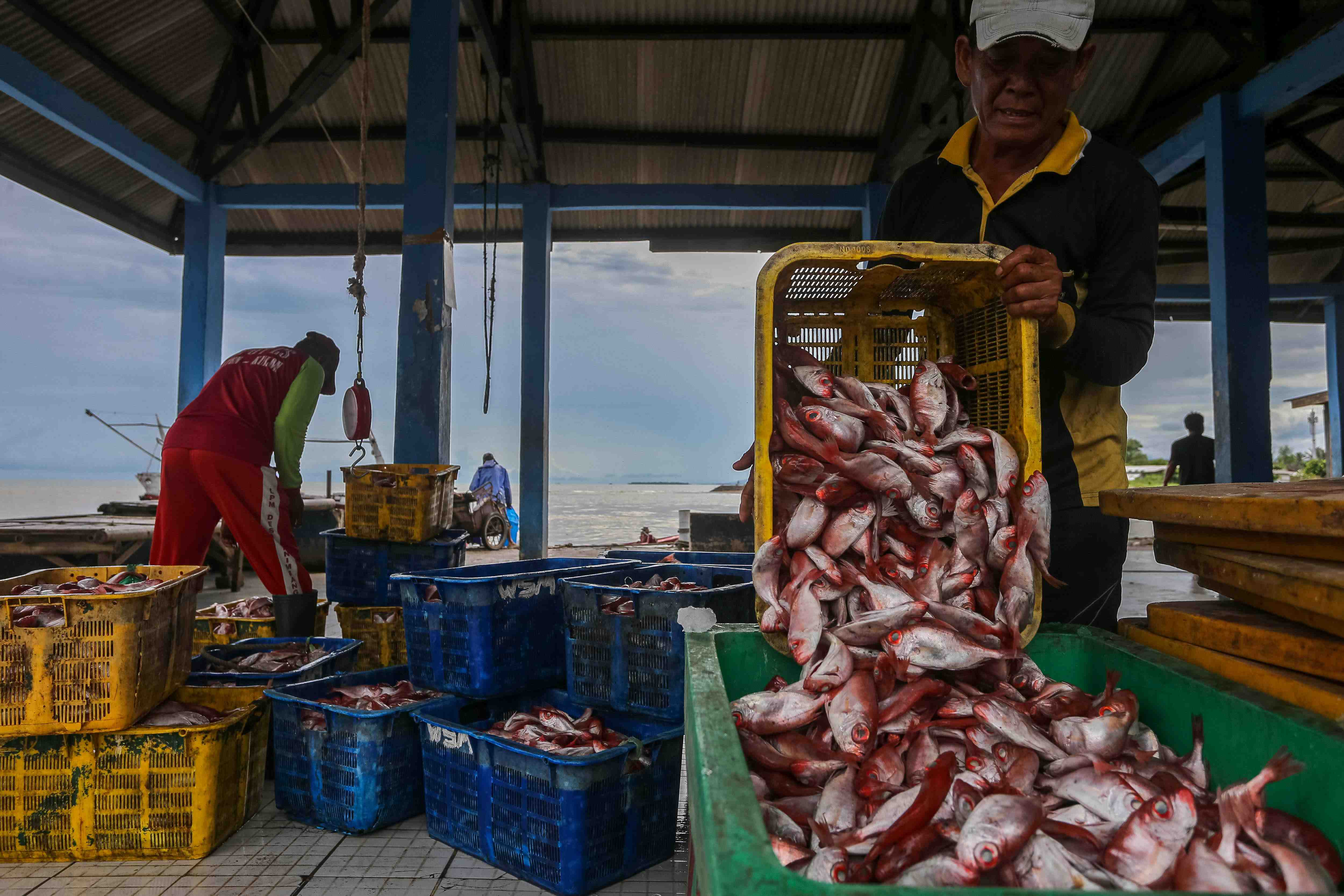 Lanjutkan Program Ekonomi Biru Demi Lestarinya Laut dan Kehidupan Nelayan