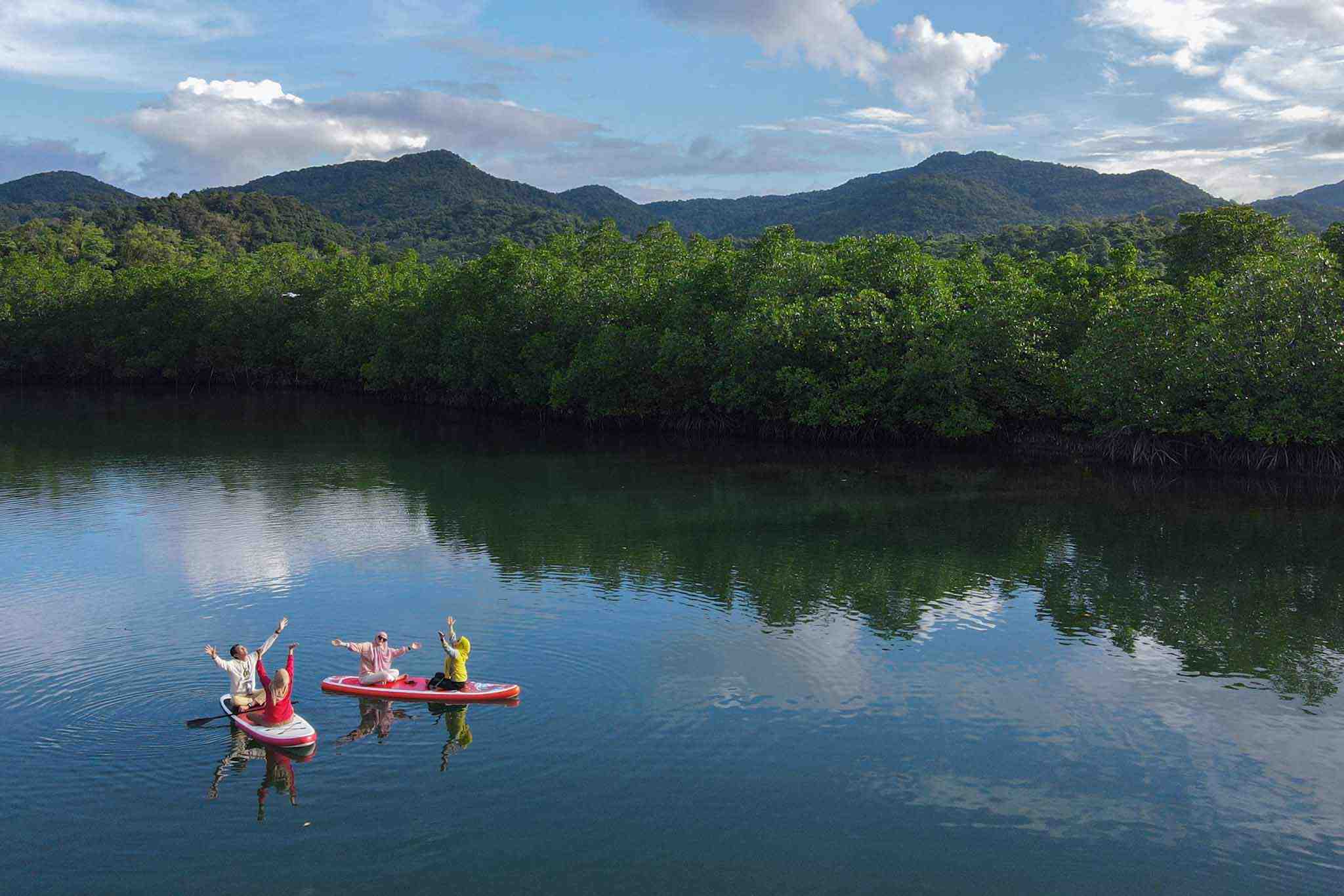 Pemerintah Berupaya Lakukan Perlindungan Mangrove