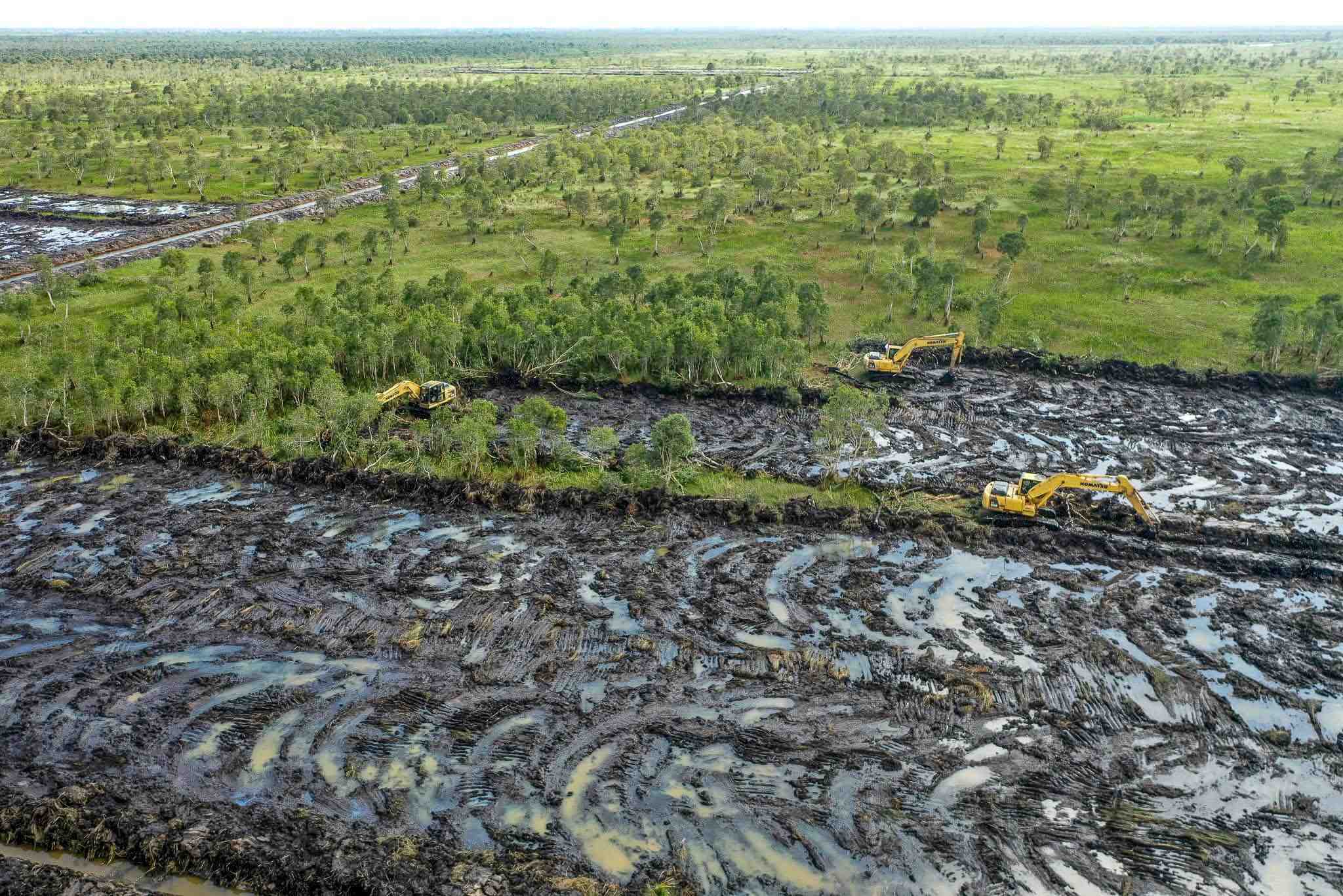 Menguatkan Ketahanan Pangan melalui Cetak Sawah Rakyat