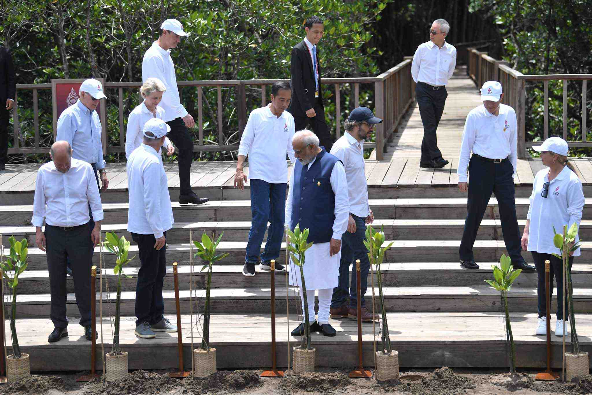 Pemimpin G20 Tanam Mangrove di Bali