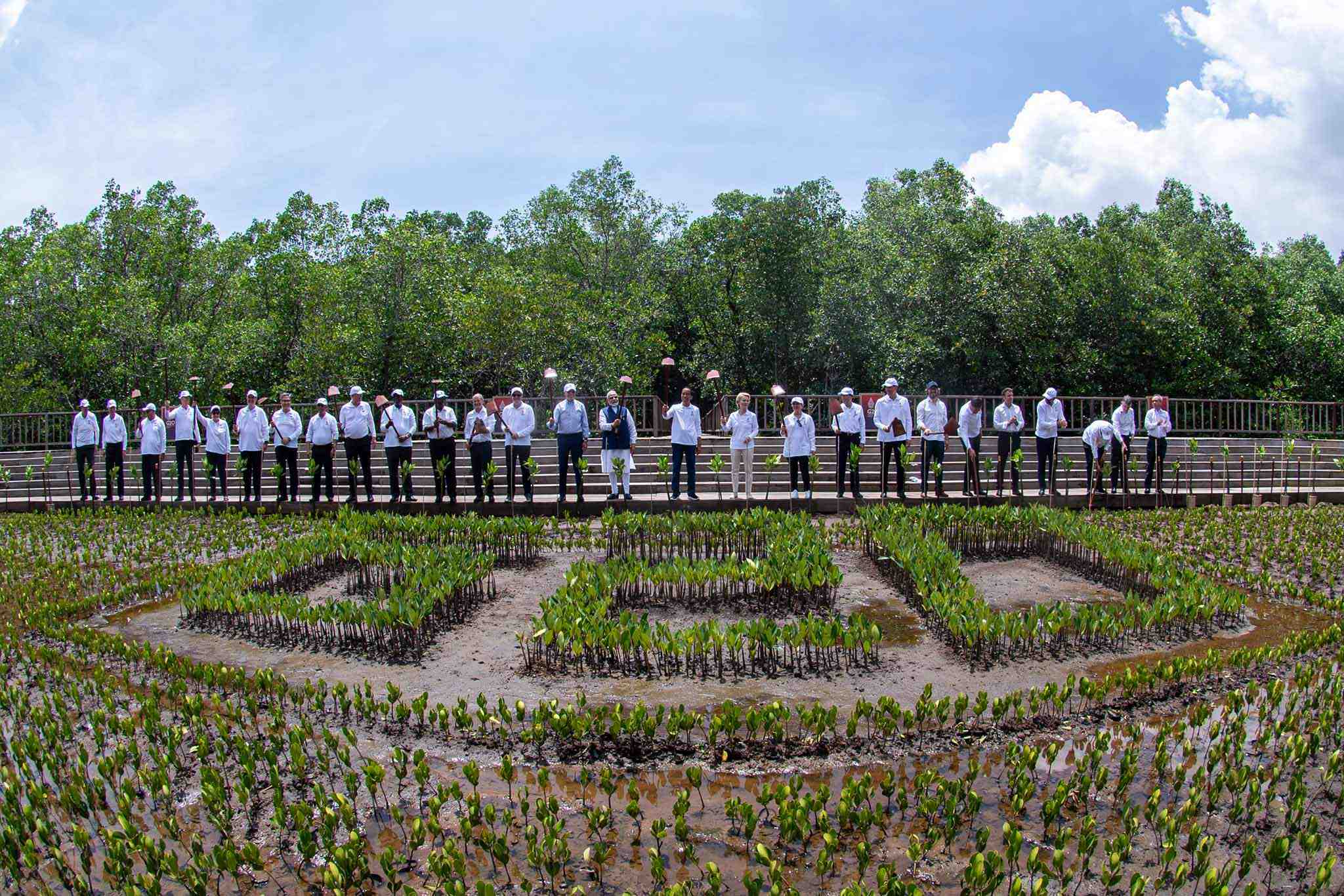 Pemimpin G20 Tanam Mangrove di Bali