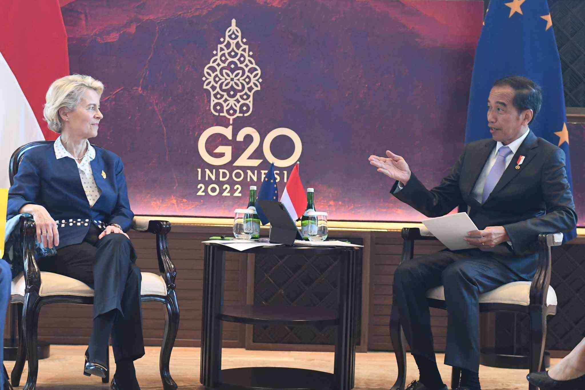 Pertemuan Bilateral di G20