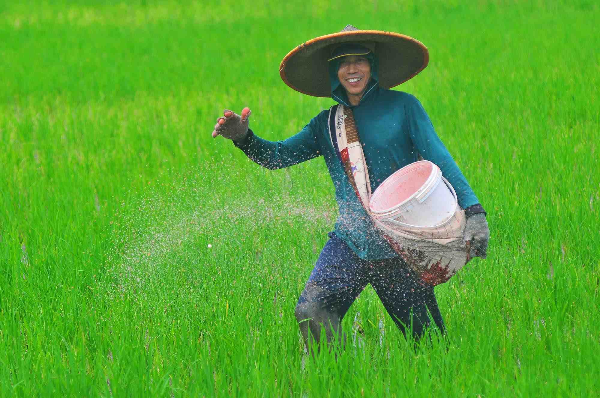 Petani Tersenyum Impor Beras Dihentikan